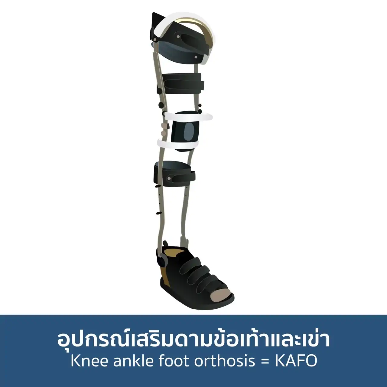 การใช้กายอุปกรณ์ช่วยป้องกันการผิดรูปของข้อต่อและการเกิดอาการปวด ช่วยในการปรับรูปแบบการเดินให้ใกล้เคียงกับการเดินปกติ